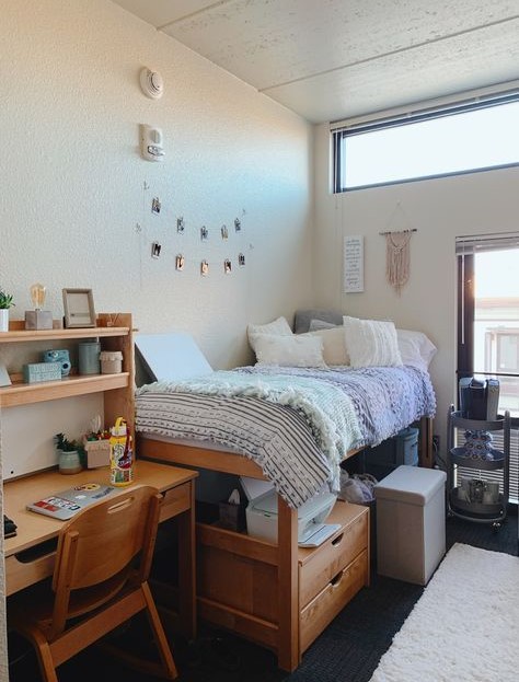 A tidy college room up for rent.