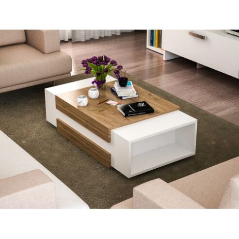 Multipurpose Center Table Coffee Table Chair With Book Shelf Furniture