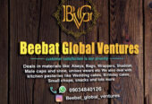 BeeBat_Global_Ventures