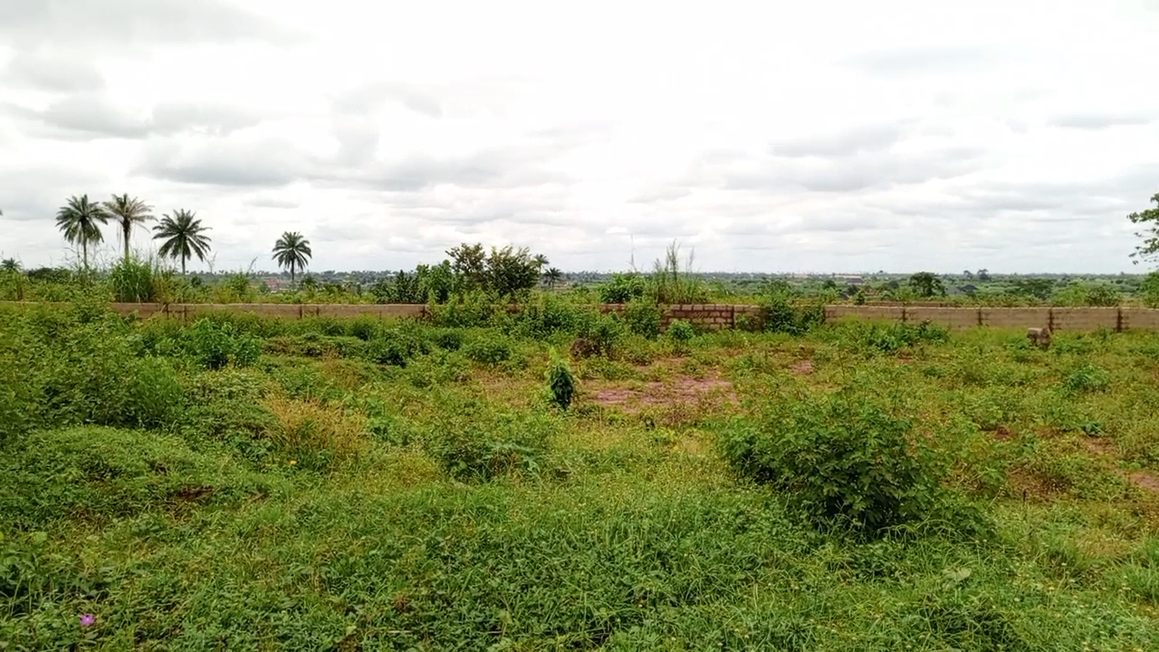 Land in an Estate in Asaba