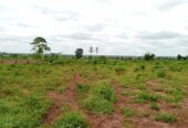 Land in an Estate in Asaba