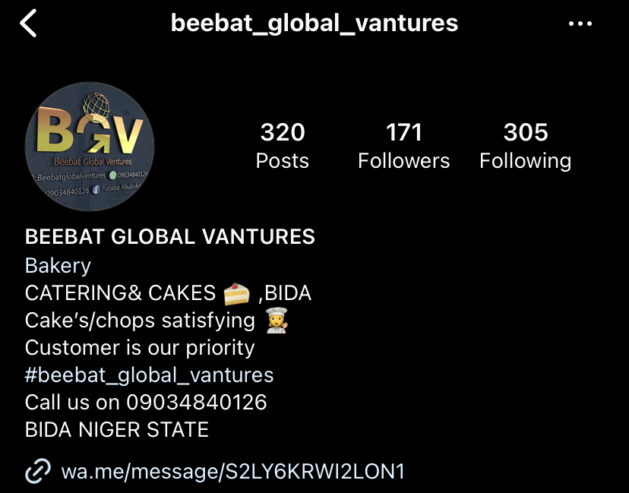 BeeBat_Global_Ventures