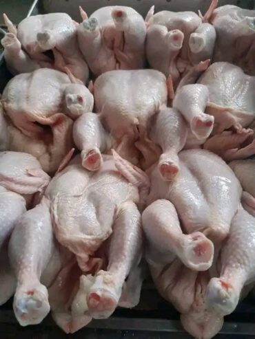 Selling and dressing of Chicken