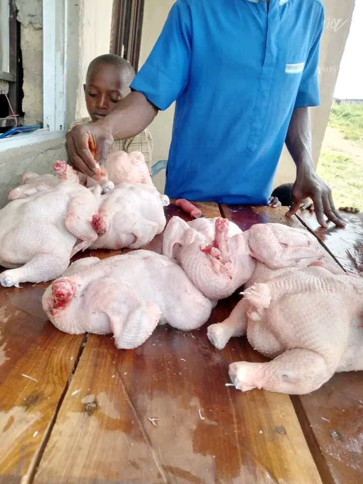 Selling and dressing of Chicken