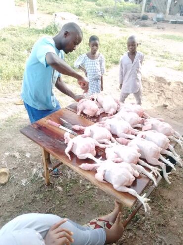 Selling and dressing of Chicken
