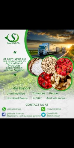 Agricultural exportation