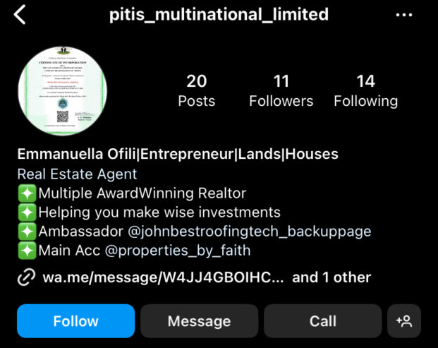 Pitis_Multinational_Investment