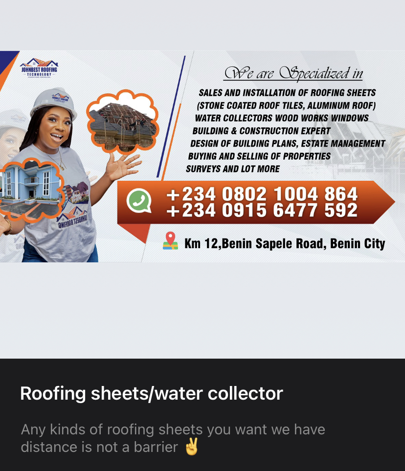 Pitis_Multinational_Investment