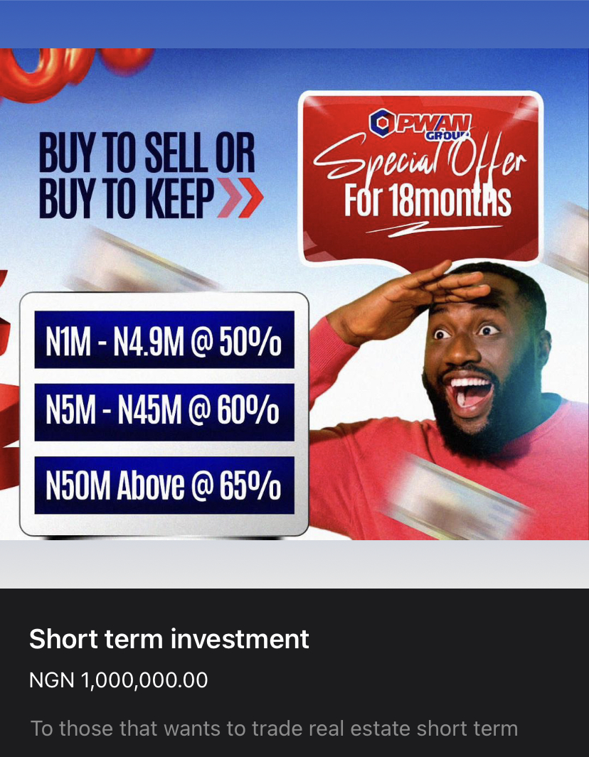 Pitis_Multinational_Investment