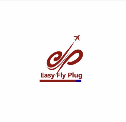 EASY_FLY-PLUG
