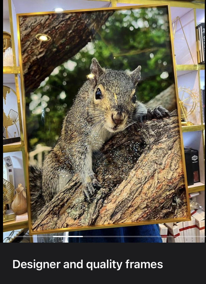 LUCHEE’s_HOMES_&Co