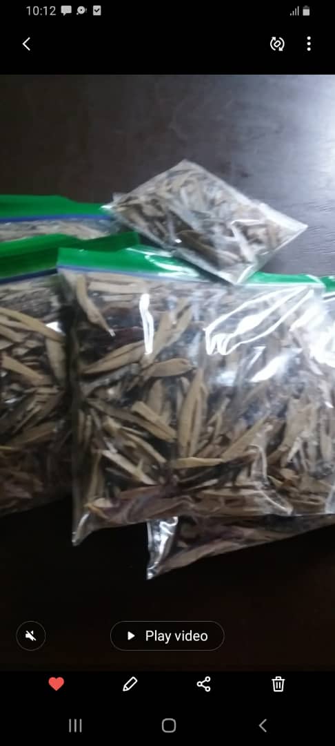 Ugba/oil bean