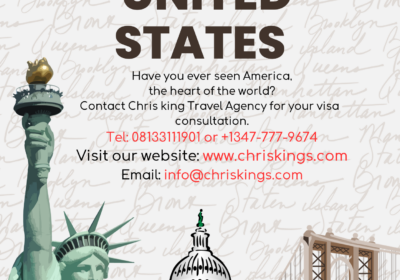 Brown-Modern-Illustration-United-States-USA-Promotion-Travel-Poster