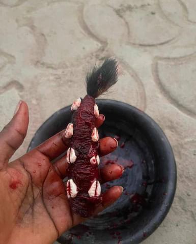 The best spiritual native doctor and herbalist man in Nigeria +2349054130411