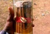 The best spiritual native doctor and herbalist man in Nigeria +2349054130411