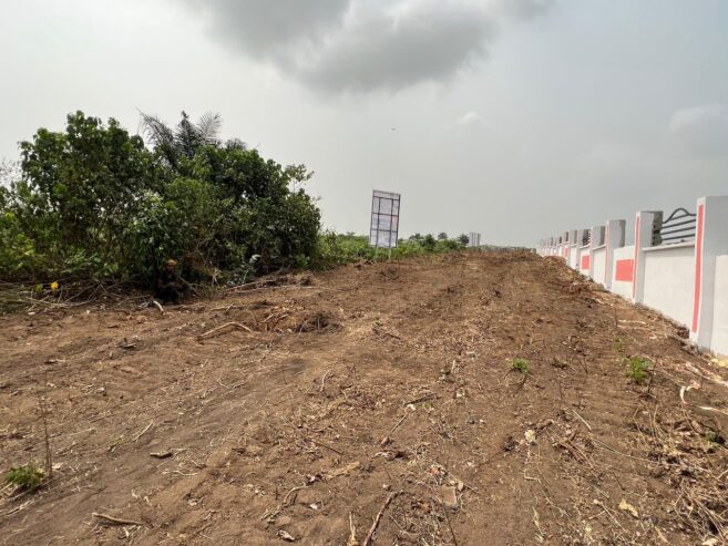 Affordable Land in Lagos