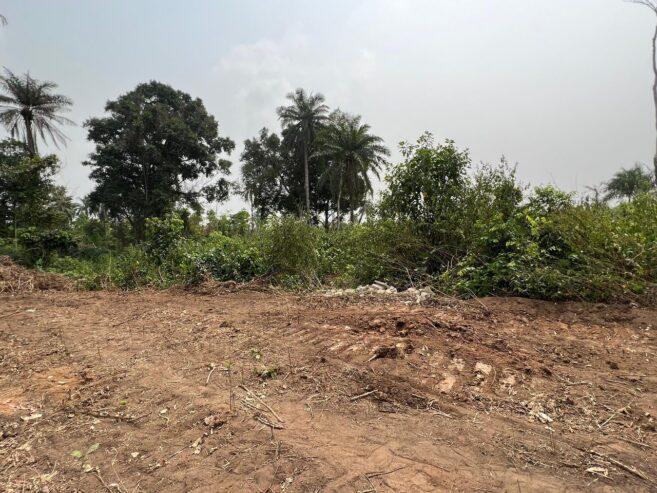 Affordable Land in Lagos