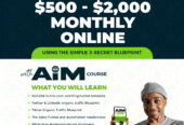 AIM cash money making system