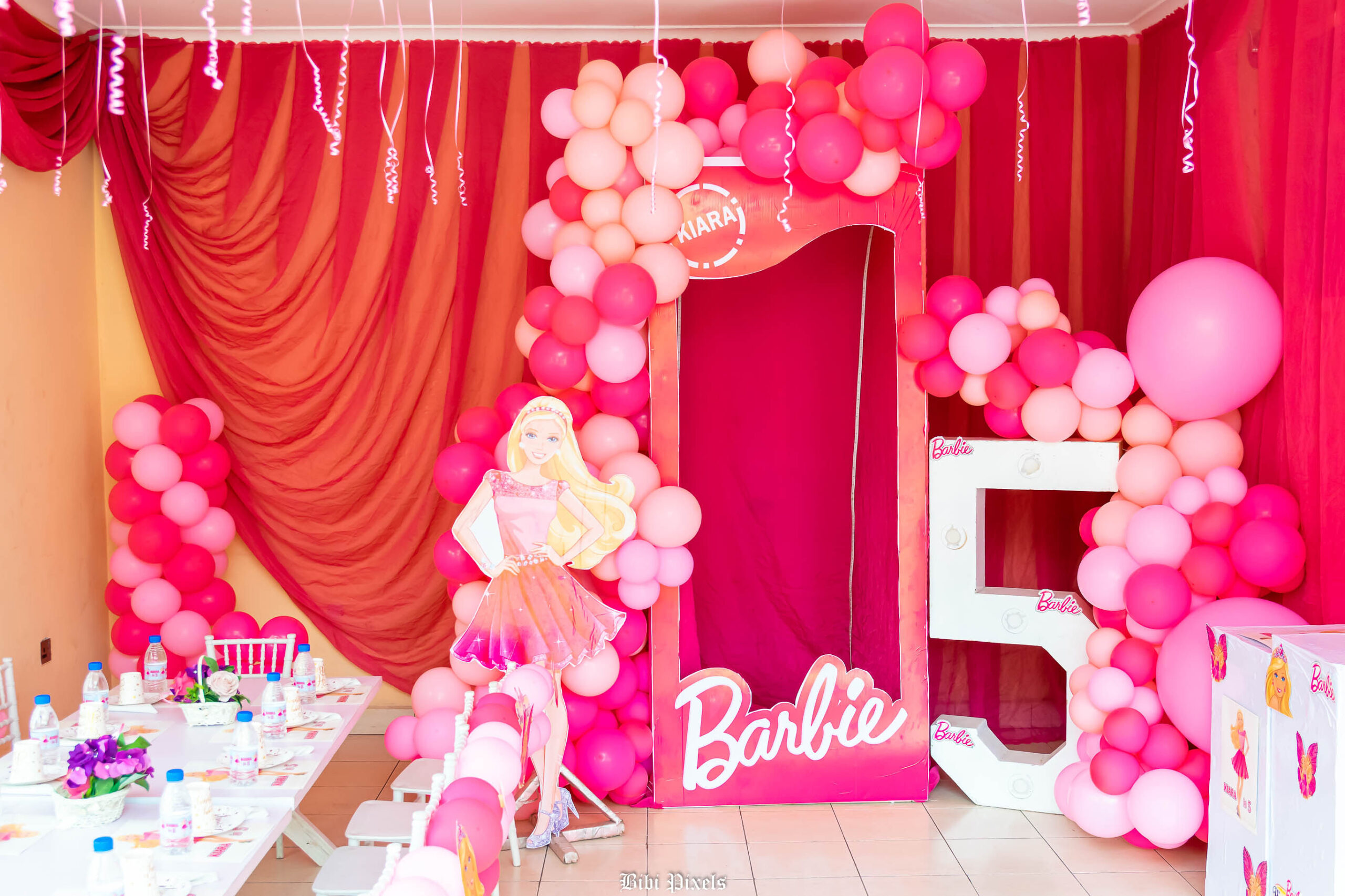 Kiddies party planner