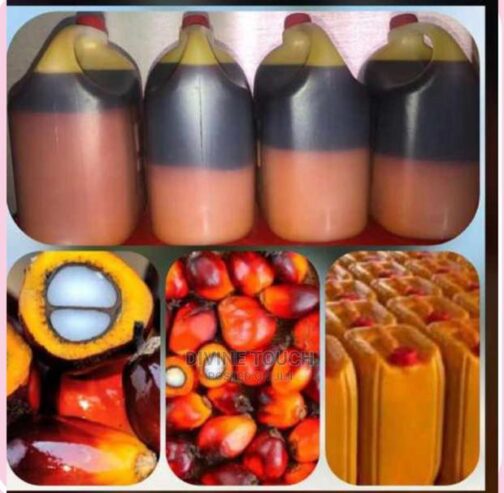 Organic Palm Oil