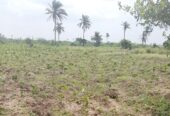 Livestock/AnimaHusbandry Ranches for Sale at EPE, Lagos