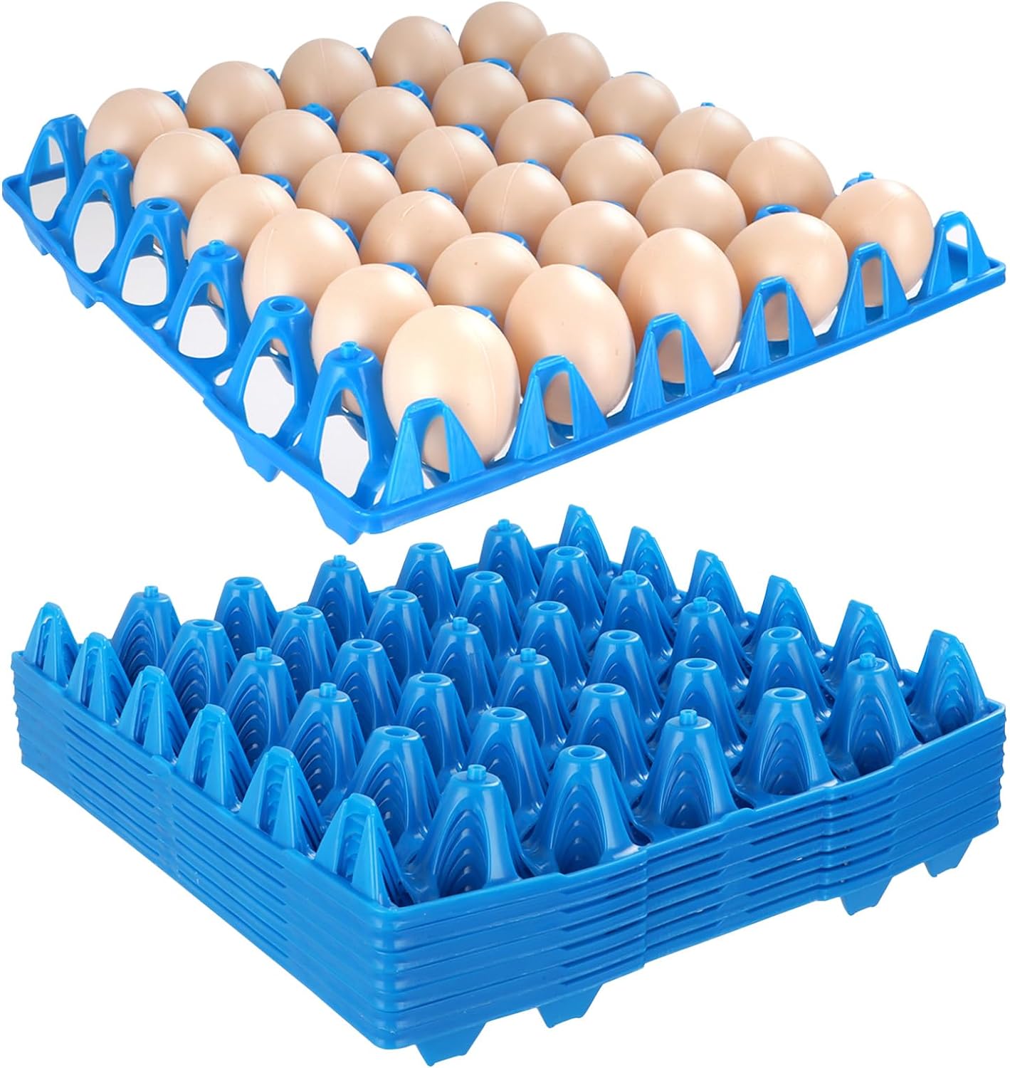 Empty Egg Crates
