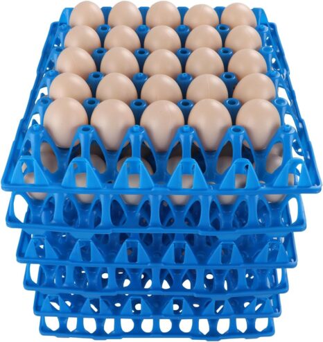 Empty Egg Crates