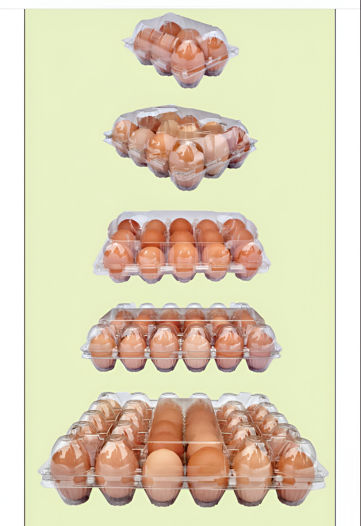 Transparent Egg Crates