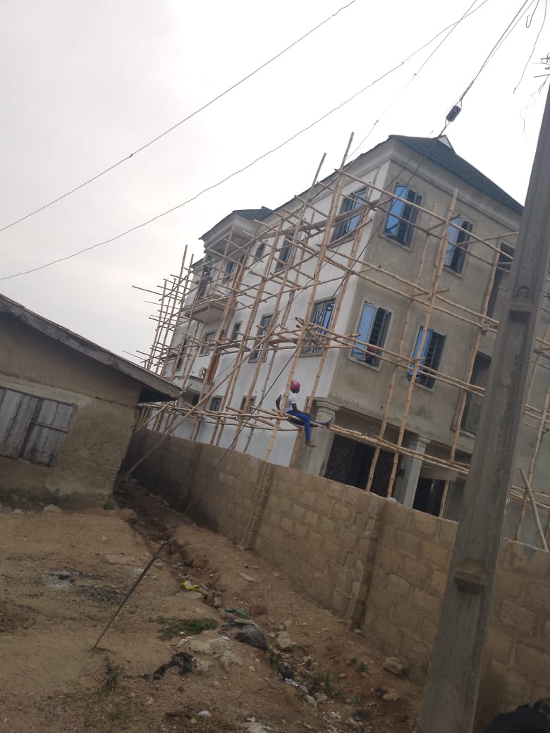 Wall screeding and painting