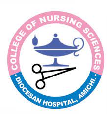 College of Nursing Diocese hospital Amichi 2024/2025 Application Form