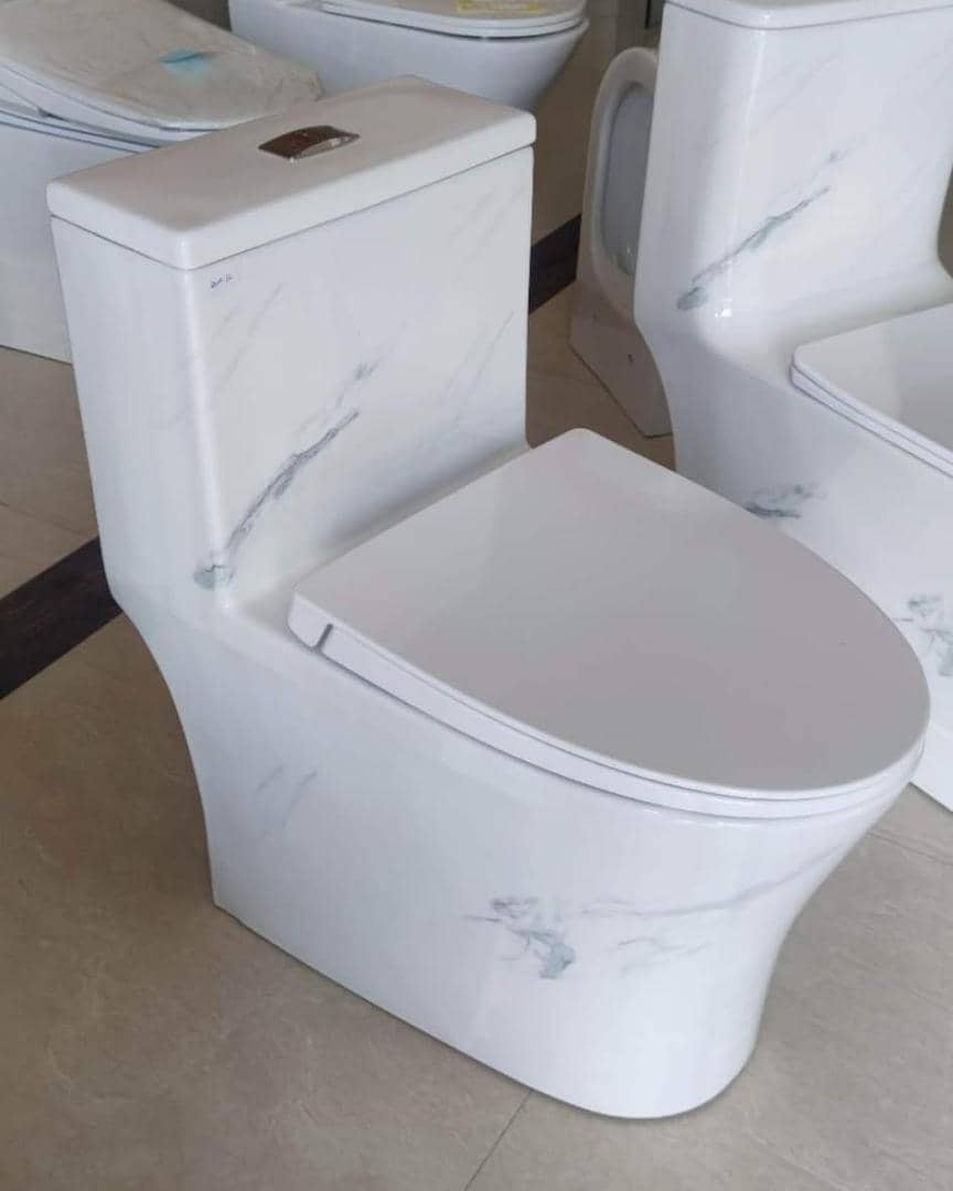 Goodwill Ceramic Limited