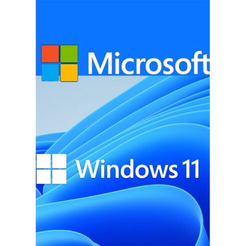 Windows 11 Pro 1PC OEM