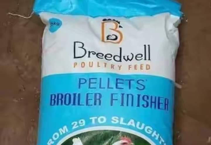 Breedwell feeds for sale