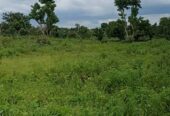 3,582 Hectares of mixed use Land for Sale