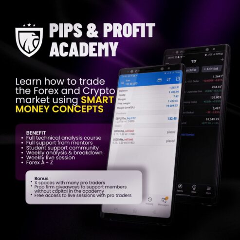 Pips & Profits Academy by Reagan Disu