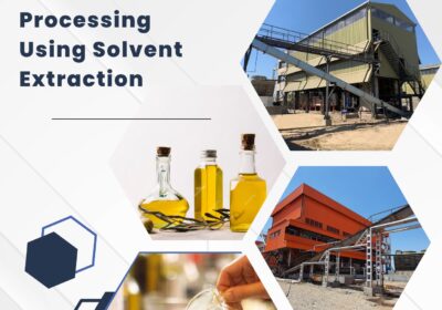 Process-of-Edible-Oil-Processing-Using-Solvent-Extraction